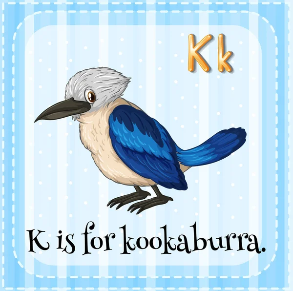 Flashcard lettre K est pour kookaburra . — Image vectorielle