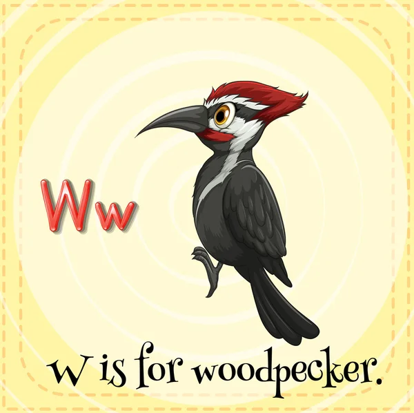 แฟลชการ์ดตัวอักษร W สําหรับ woodpecker . — ภาพเวกเตอร์สต็อก