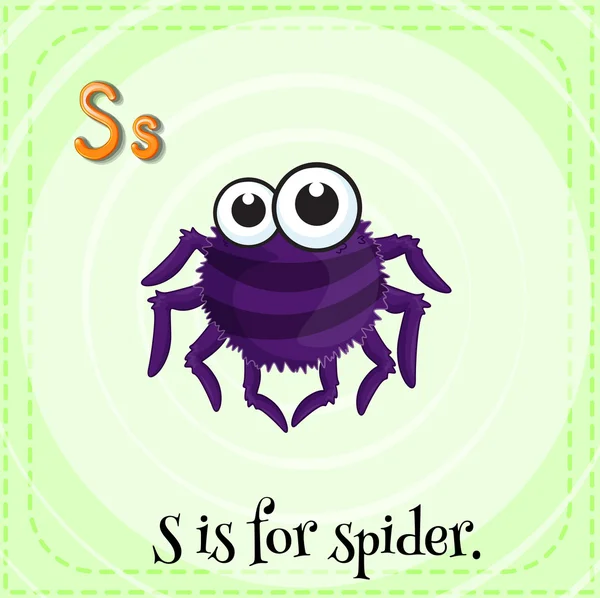 Flashcard letter S is for spider. — Stock Vector