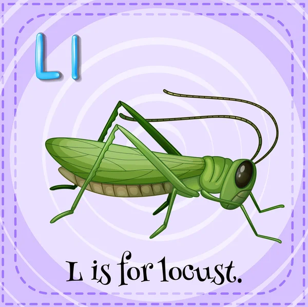 Flashcard letter L is for locust — Stock Vector