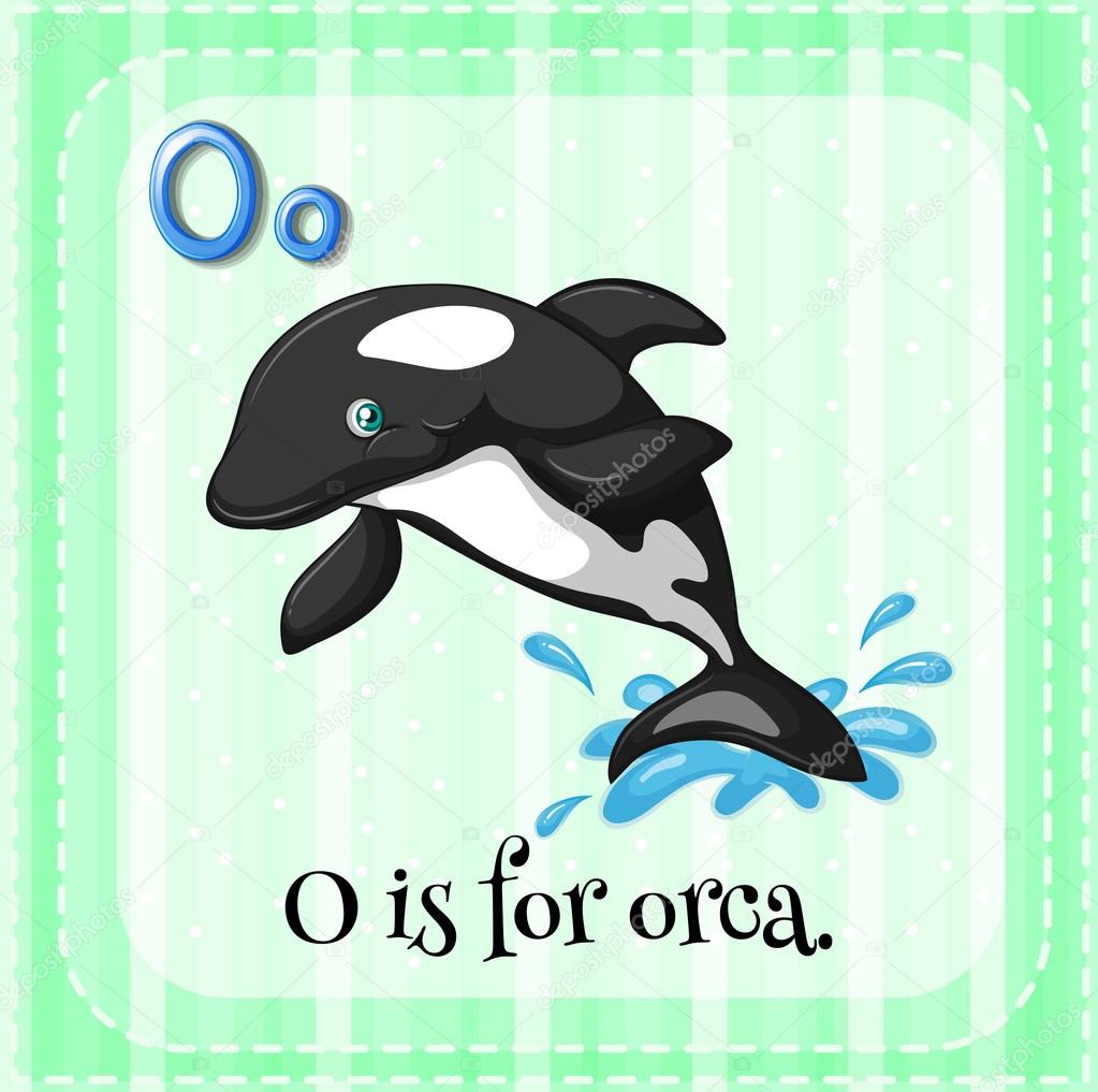Flashcard letter O is for orca.
