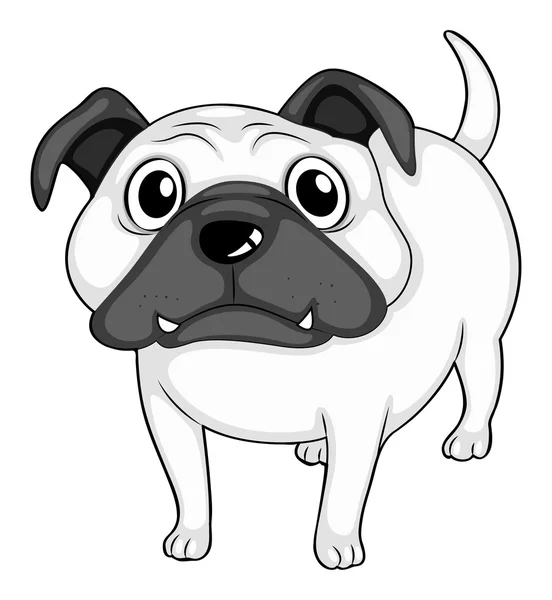 Bulldog. — Vetor de Stock