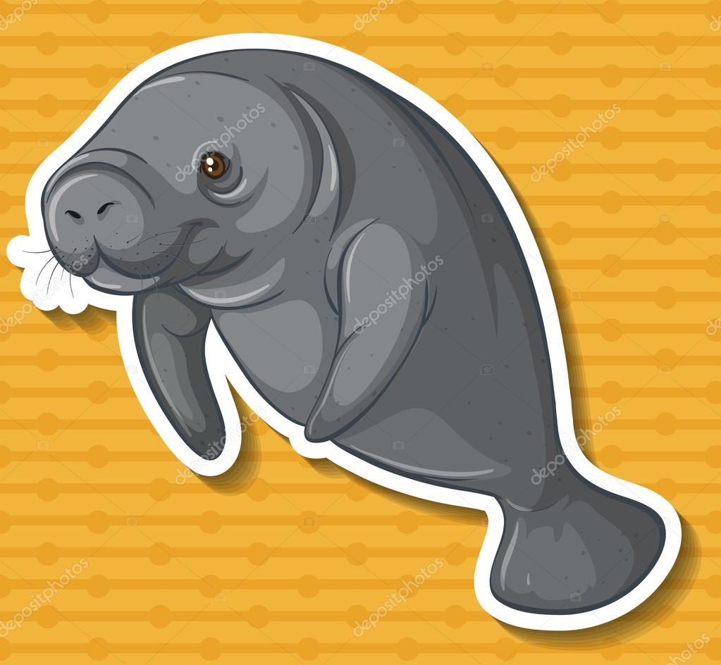 dugong #hashtag