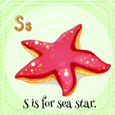 Sea star clipart