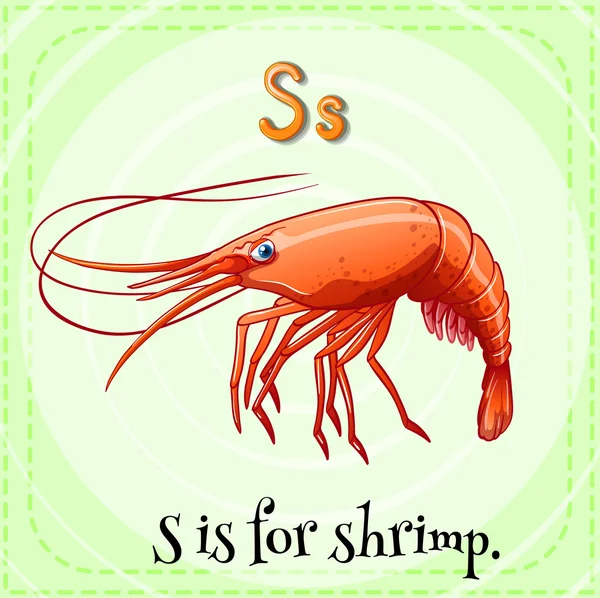 Shrimp — Stock Vector