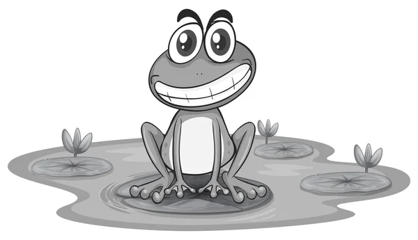 Happy frog — Stock Vector