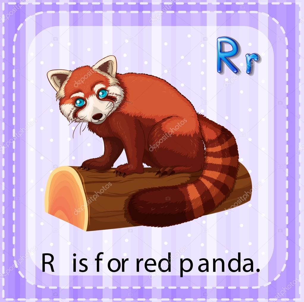 Red Panda Stock Vector Image By C Interactimages