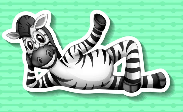 Zebra — Stok Vektör