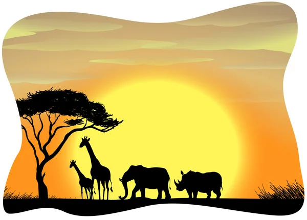 Africa — Stock Vector