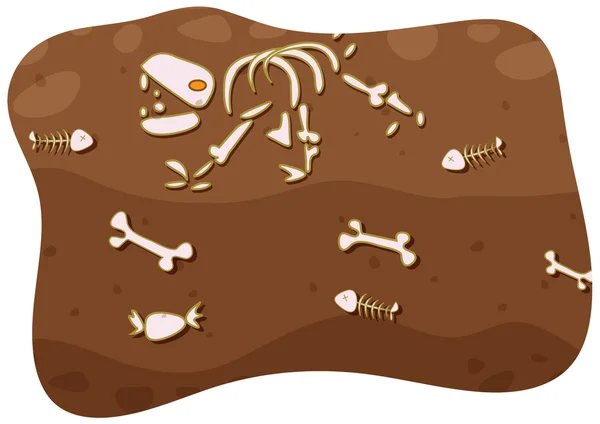 地面の下の化石 — ストックベクタ