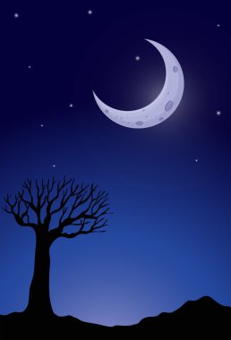 Gece, ağaç siluet