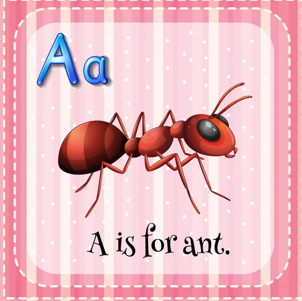 Flashcard A is for ant — Stock Vector