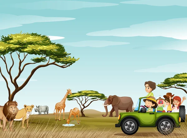 Roadtrip in the field full of animals — Stock Vector