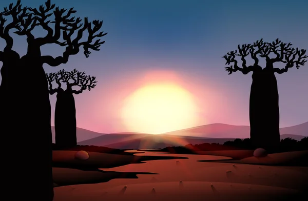 Silhouet van zonsondergang in woestijn — Stockvector