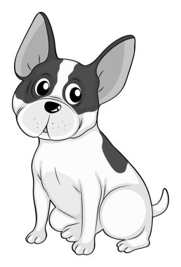 Siyah beyaz küçük köpek
