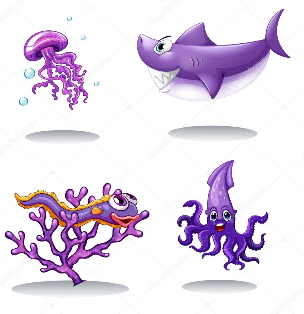Sea animals in purple