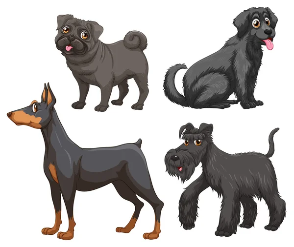 Diferentes tipos de perros — Archivo Imágenes Vectoriales