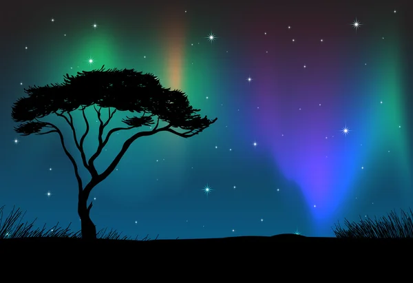 Campo di silhouette con cielo aurora di notte — Vettoriale Stock