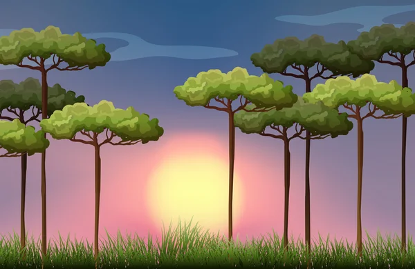 Escena de la naturaleza al atardecer — Vector de stock