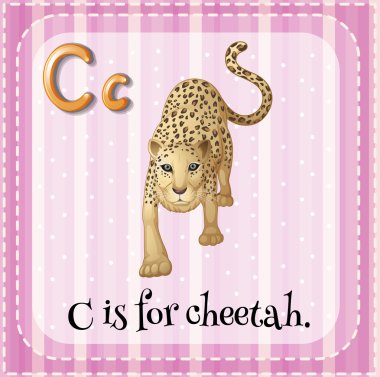 Flashcard C için cheetah harftir