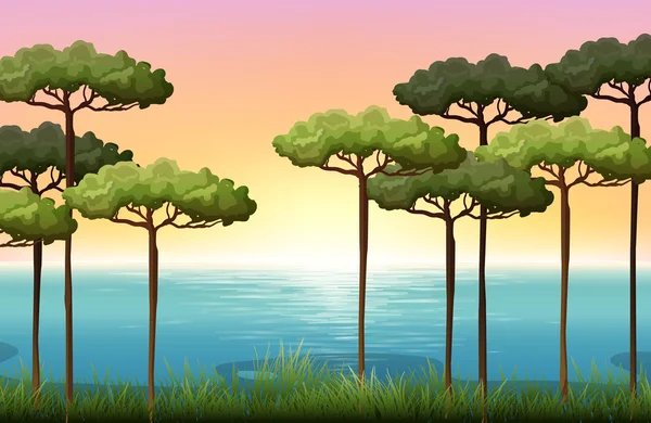 Ağaçlar ve su ile doğa manzara — Stok Vektör