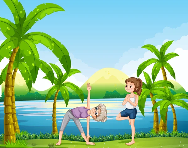 Dos mujeres haciendo yoga en el parque — Vector de stock