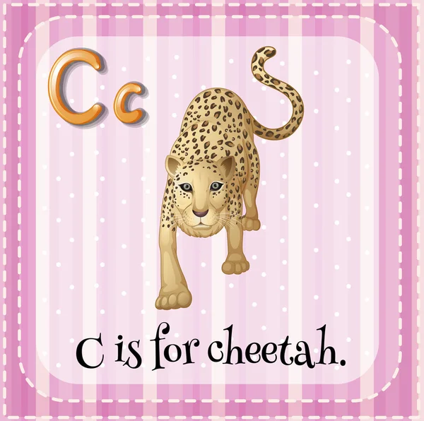 La letra C de la tarjeta es para guepardo — Vector de stock