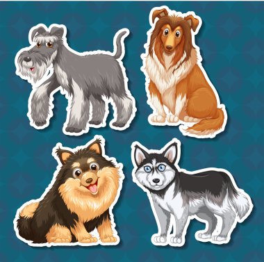 Köpeklerin farklı türü