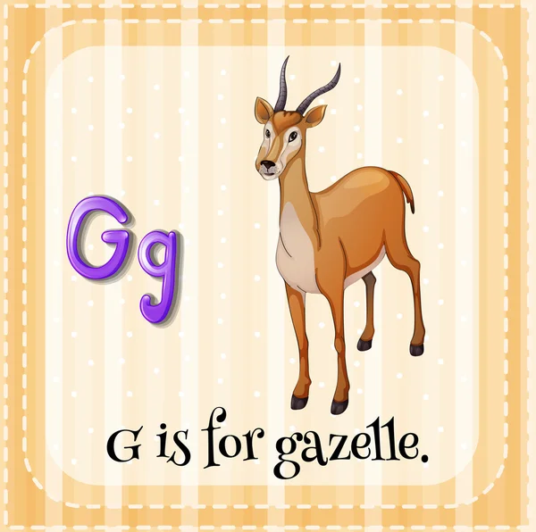 Flashcard letter G is for gazelle — Stock Vector