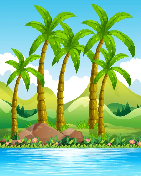 River scene with coconut trees — Stock Vector