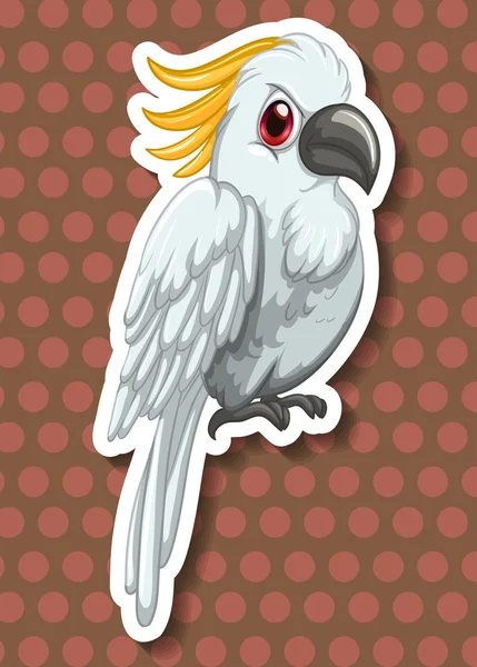 Белый ара с красными глазами — стоковый вектор