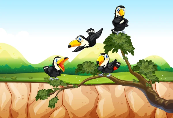 Toucans on the branch — Stock Vector