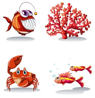 Deniz hayvanları ve mercan kayalığı