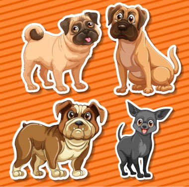 Small breeds dogs on orange background clipart