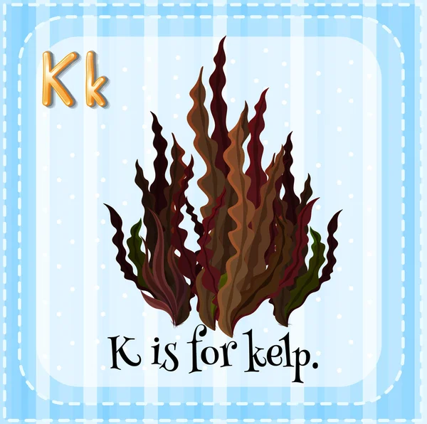 Flashcard lettre K est pour varech — Image vectorielle