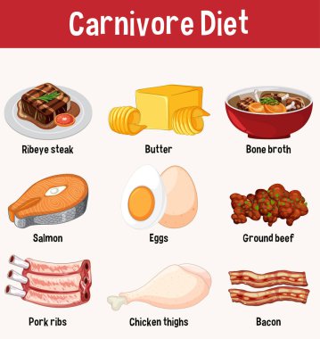 Etler ve süt ürünleri de dahil olmak üzere anahtar etobur diyet gıdalarının renkli vektör bilgisiName.