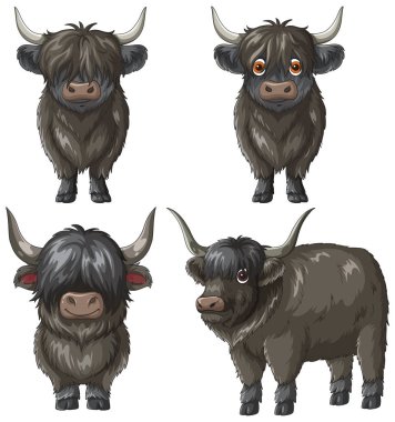 Büyük boynuzları ve anlamlı çizgi film yüzlü dört tüylü İskoç sığırının şirin vektör çizimi.
