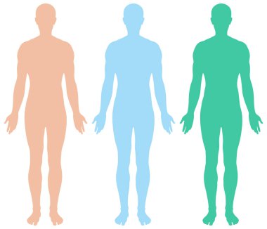 Pastel renklerde üç düz insan vücudu silueti. Temiz hatlı minimum tıbbi vektör biçimi.