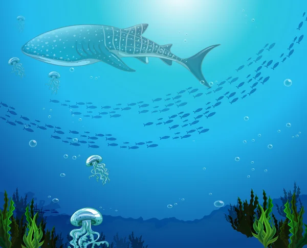 Fürdés az óceán Whaleshark — Stock Vector