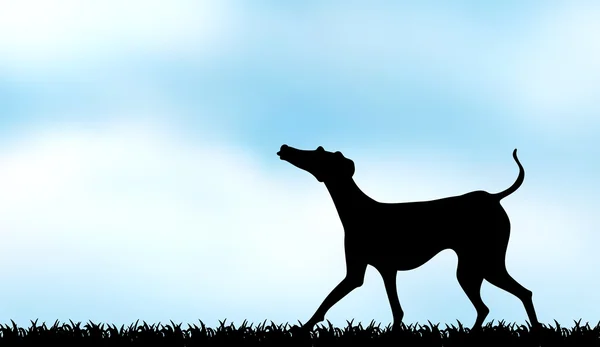 Chien silhouette sur le terrain — Image vectorielle