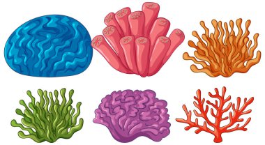 Beyaz bir arka plan vektöründe izole edilmiş altı farklı renkli mercan ve deniz şakayığı türü.