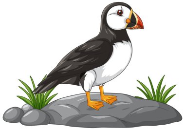 Bir çizgi film karakteri Atlantik martısı gri bir kayanın üzerinde duruyor.