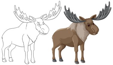 Bir boğa geyiğinin yan profili hem renkli hem de ana hatlı vektör tarzlarıyla sunulmuştur.