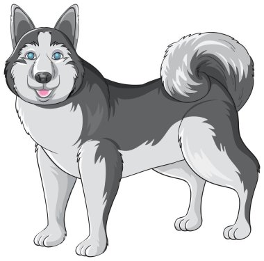 Bir çizgi film karakteri Sibirya Husky mavi gözlü, temiz bir vektör tarzında tetikte bekliyor.