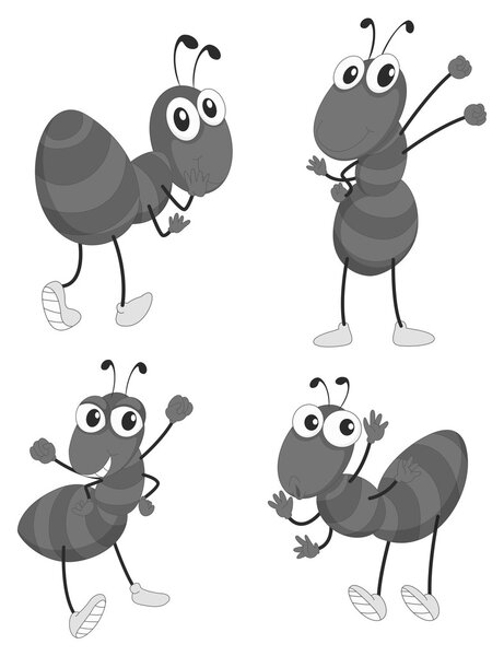 Different poses of ants