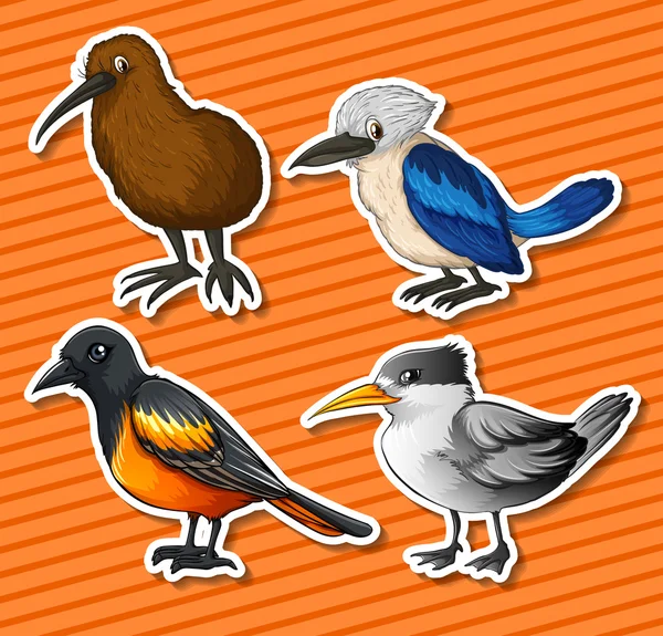 Diferentes tipos de aves — Vector de stock