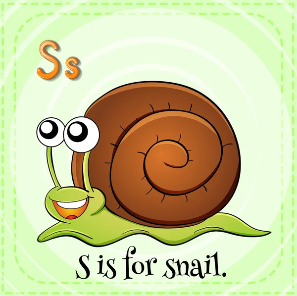 Flashcard letter S is for snail — Stock Vector