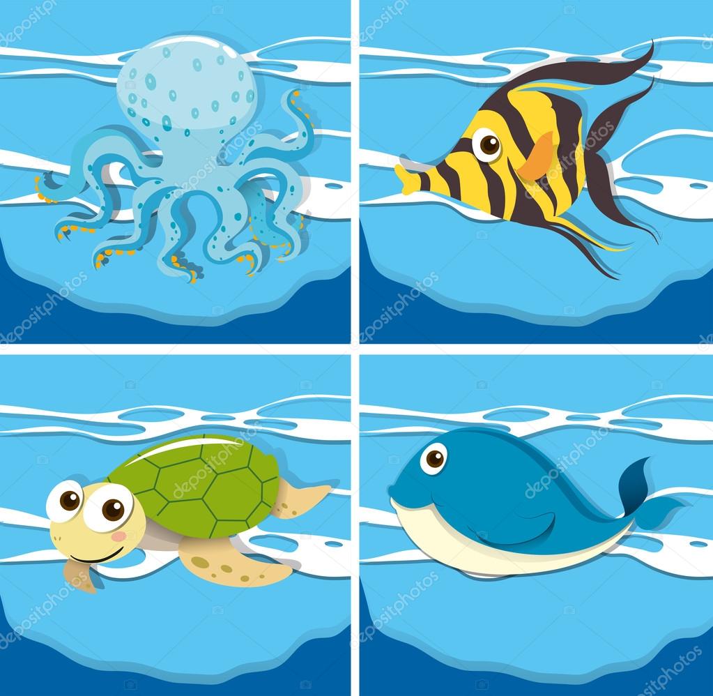 Four different sea animals Stock Vector Image by ©interactimages #87223680 Four different sea animals Stock Vector Image by ©interactimages #87223680