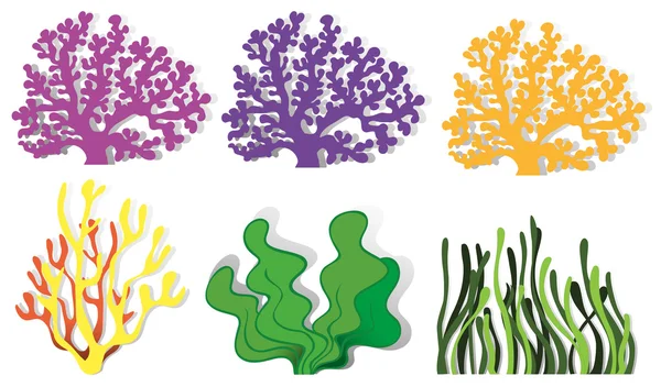 Different kind of coral reefs — Stock Vector