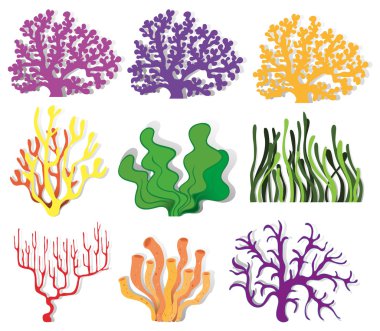 Coral reef ve çeşitli türü